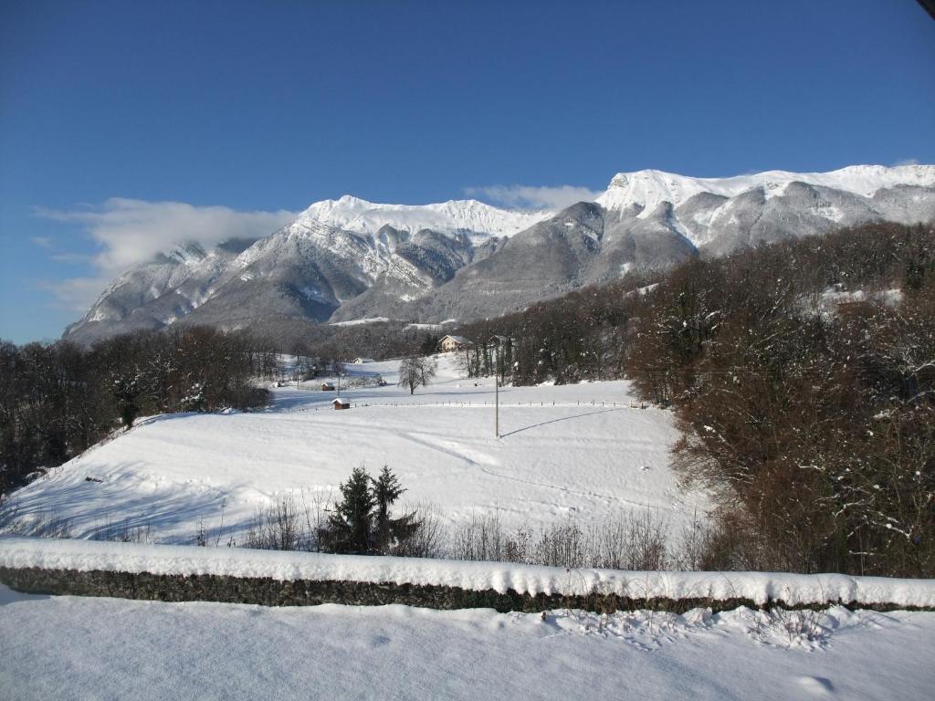 Le Domaine Du Grand Cellier Chambres D'Hotes En Savoie Tournon-sur-Rhône Dış mekan fotoğraf