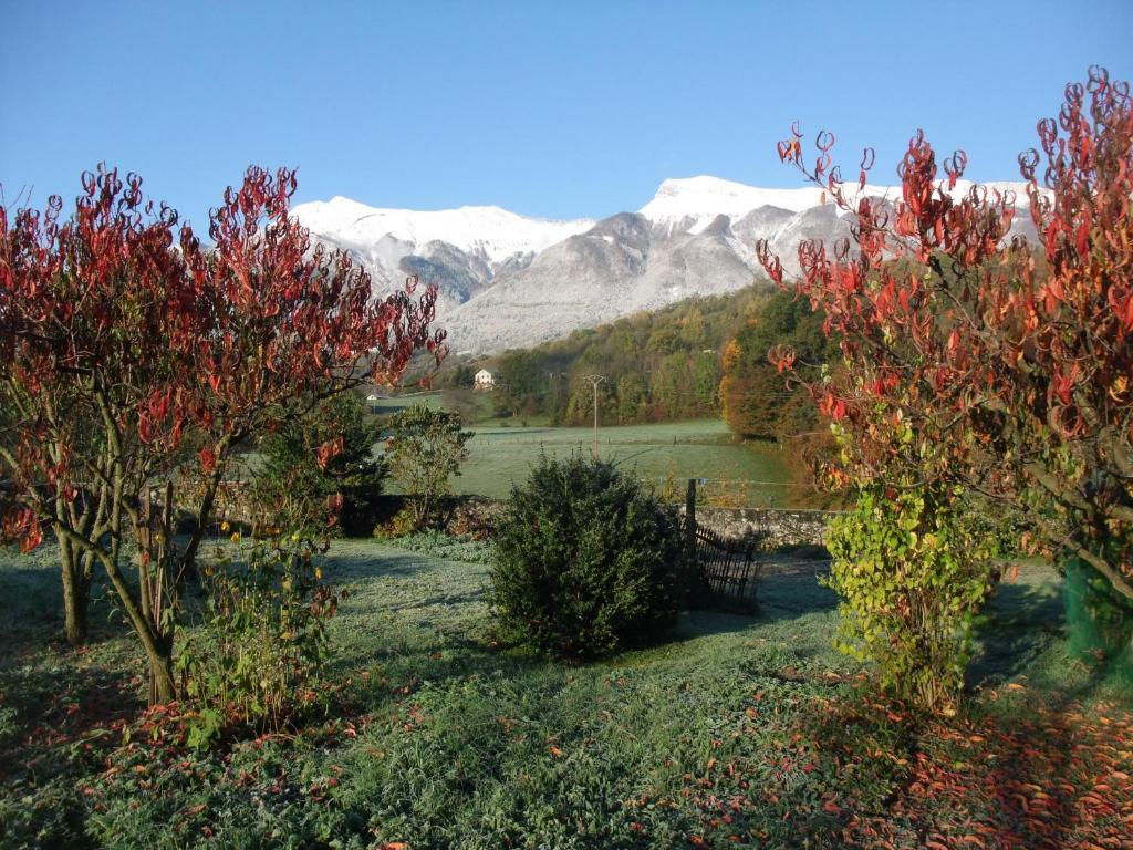 Le Domaine Du Grand Cellier Chambres D'Hotes En Savoie Tournon-sur-Rhône Dış mekan fotoğraf
